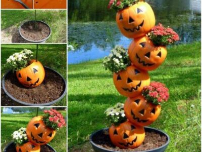 Harvest/Holiday Calendar of Events 2019