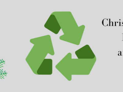 Live Christmas Trees: Recycle and Reuse