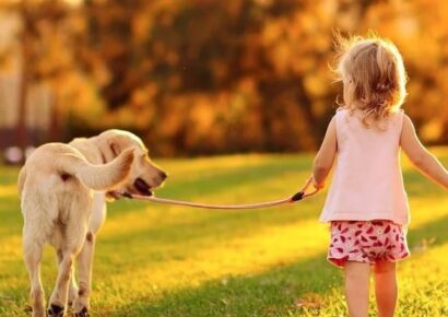 HSEC News: January is National Train Your Dog Month, Walk Your Pet Month