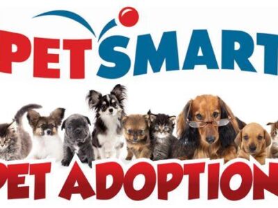 PetSmart of Prattville to Host PAHS Pet Adoptions Feb. 29