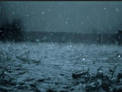 ‘Down with Dawgs’ $10,000 Drawdown coming in April; Date to be Announced