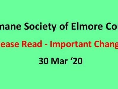 Humane Society of Elmore County Announces Operational Changes Due to COVID-19; Donations Still Needed