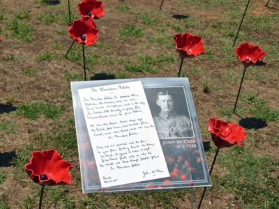 PHOTOS: Alabama Poppy Project