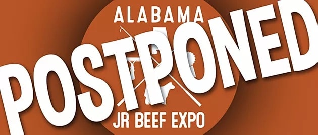 Junior Beef Expo 2020 to be Postponed