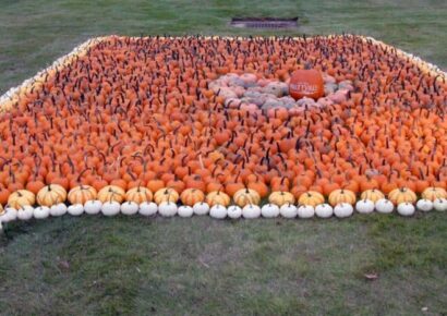 Fall is in the Air! Please Let Us know About Community, Church or City events To Celebrate the Season!