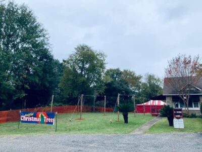 Live Christmas Trees on Sale Nov. 27 at St. Michael and All Angels’ Episcopal Church in Millbrook