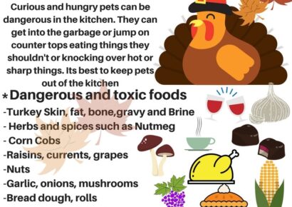 HSEC NEWS: Though a Tough Year, We Have Much to Be Thankful For