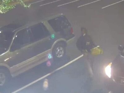 Prattville PD Seeks Identity of Suspect in Vehicle Breakin; CrimeStoppers Offers Reward