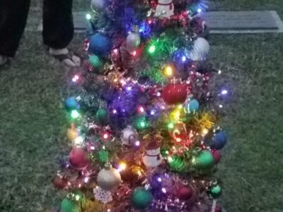 Reward Offered for Information on Christmas Tree Stolen from Grave at Pine View Memorial Cemetery