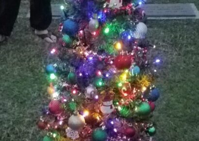 Reward Offered for Information on Christmas Tree Stolen from Grave at Pine View Memorial Cemetery