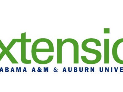 Getting Healthy In The New Year: Making Informed Food Choices