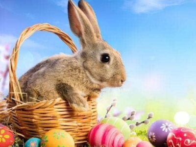 Prattville Spinners’ Bunny Hop Shop: Club’s Fundraising Event is This Weekend