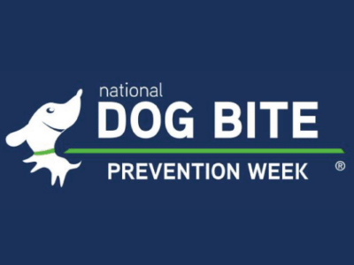This week is National Dog Bite Prevention Week. Here are Some Tips on Preventing Bites.