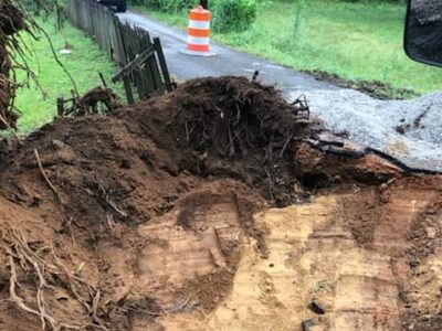 Limb Pickup in Millbrook Could be Delayed as Street Department Works to Clear Debris