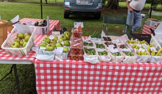 Family Friendly Fun At Prattville Farmers Market; Just One More Week Left this Season