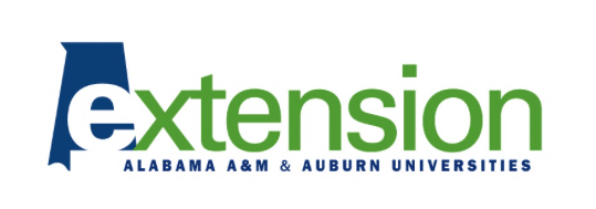 Strengthen Your Job Market Skills During Workforce Development Month