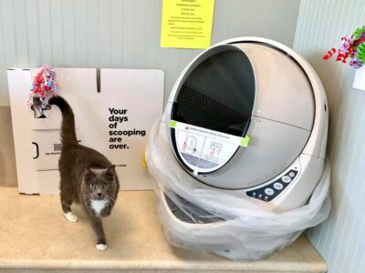 Want to Win a $500 Litter Robot? HSEC Has Multiple Events coming in September