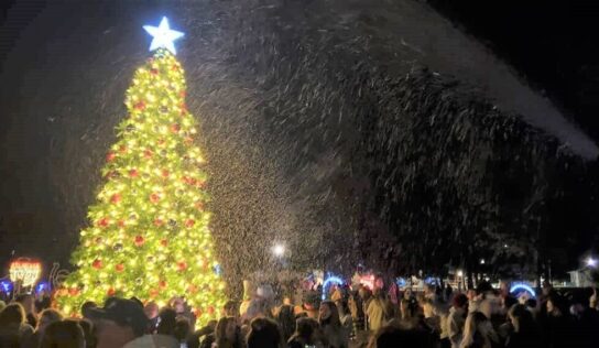 Millbrook Tree Lighting, Parade and Festival Coming Soon; What You Need to Know