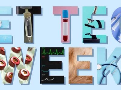 It’s National Veterinary Technician Appreciation Week! Show Your Support