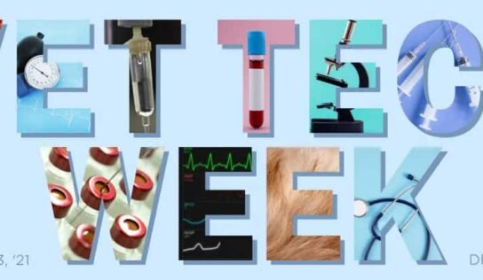 It’s National Veterinary Technician Appreciation Week! Show Your Support