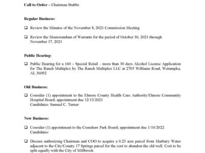 Elmore Commission Meeting Tonight; Full Agenda, Public Hearing on Alcohol License for The Ranch Multiplex