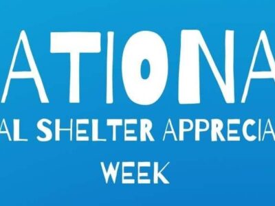 HSEC News: It is National Animal Shelter Appreciation Week!