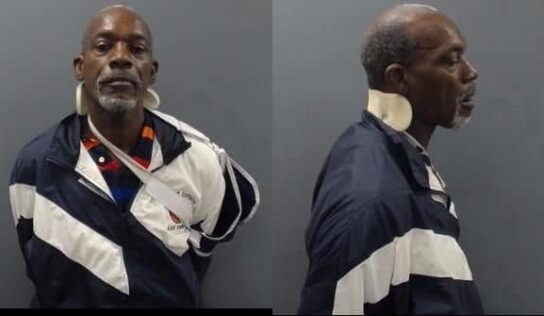 Suspect in Multiple Old Cloverdale Burglaries Identified, Captured