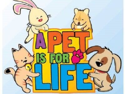 Humane Society of Elmore County News: February is Responsible Pet Ownership Month