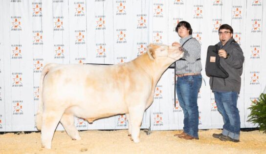 Local Youth Bring Home Awards From State Livestock Show held in Montgomery