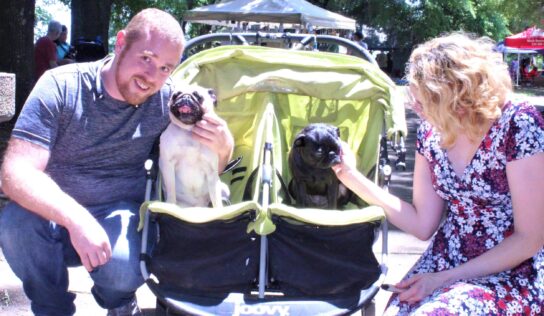 PAHS’ Bark in the Park Sees Biggest Crowd in Recent Memory