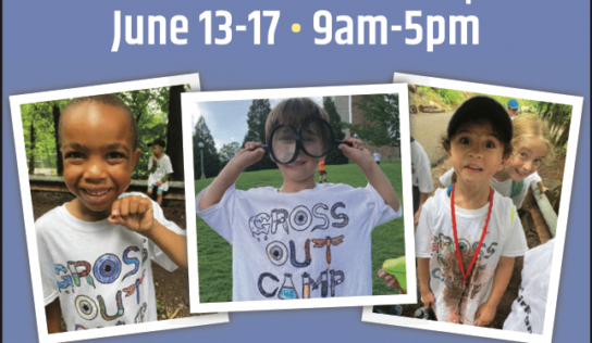 Gross Out Camp Comes to Wetumpka June 13-17; See Registration Information