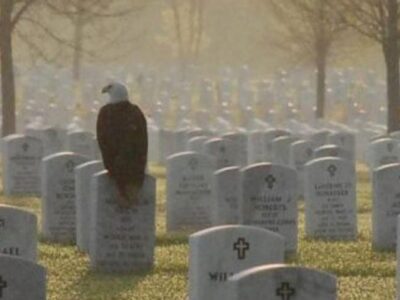 HSEC will be closed for Memorial Day May 30; Remember to reflect on the Reason for this Day