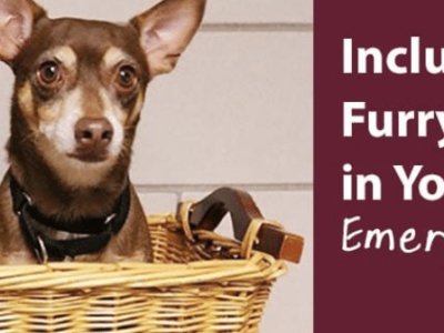 ￼Humane Society of Elmore County News