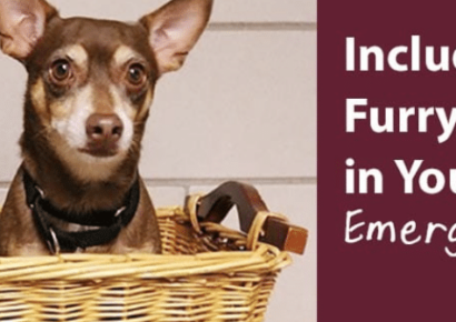 Humane Society of Elmore County News