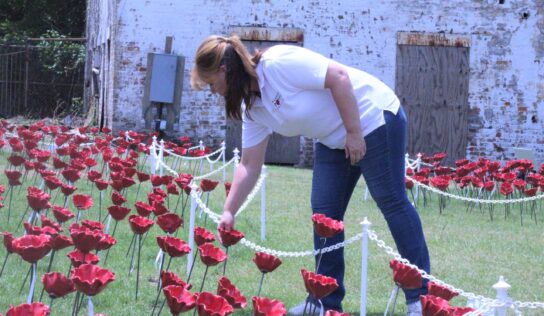 Alabama Poppy Project in Prattville a Labor of Love, says Julianne Hansen