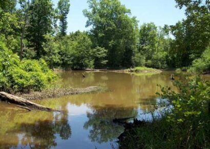 Open Woods Weeks Announced for the Forever Wild Sipsey River Complex
