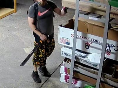 Can you help Identify this Burglary suspect? Reward offered