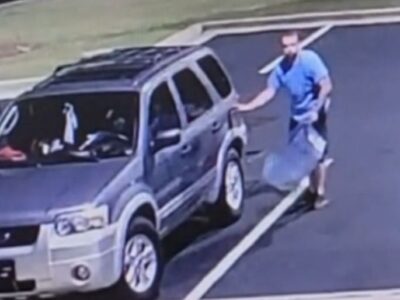 Gas Theft, Breaking and Enter of Vehicle investigation in Prattville; Can you Identify the Suspect?