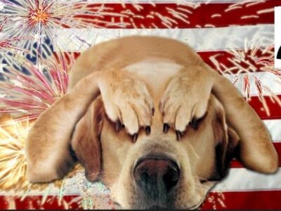 Pets and Fireworks: Take Precautions Now to Keep your Pet safe before the Fireworks start