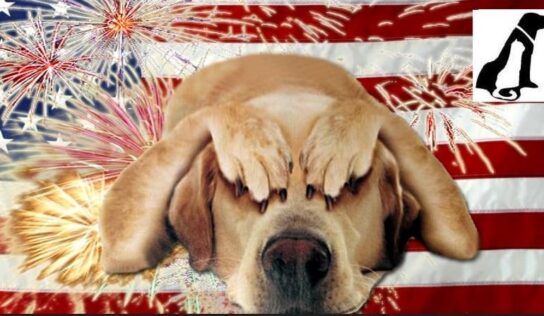 Pets and Fireworks: Take Precautions Now to Keep your Pet safe before the Fireworks start