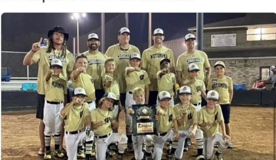 Wetumpka 8U Gold Baseball Team sets up GoFundMe as they head to USSSA Rec World Series
