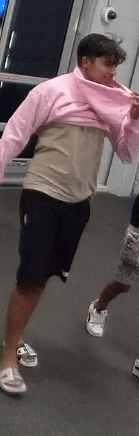 Millbrook Police Seek Felony Theft Suspect; Reward Offered for help with Identification 