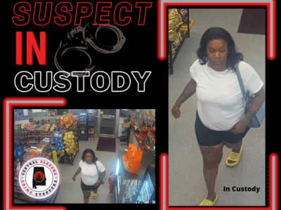 FRAUDULENT USE OF A CREDIT CARD – SUSPECT IN CUSTODY