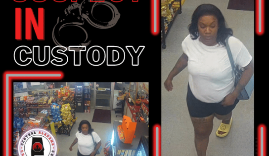 FRAUDULENT USE OF A CREDIT CARD – SUSPECT IN CUSTODY