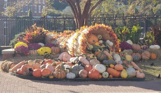 Sneak Peek – Prattville’s Parade of Pumpkins officially kicks off Friday at 5 p.m.