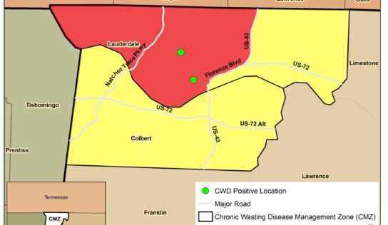 Deer Hunters: Mandatory CWD Testing This Weekend for Lauderdale and Colbert Counties