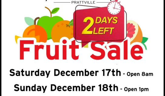 Boy Scouts Selling Fruit at Prattville Dollar Tree parking Lot Dec. 17, 18