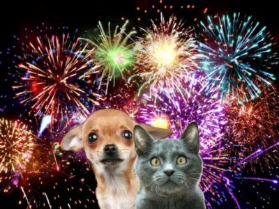 <strong>With NYE Fireworks, Lost Pet Posts are Coming, but you can Plan now to Prevent them</strong>