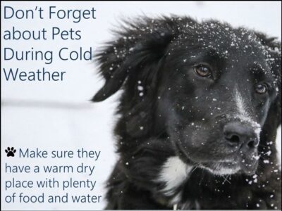 <strong>HSEC Offers Wet and Cold Weather Tips for your Pets</strong>