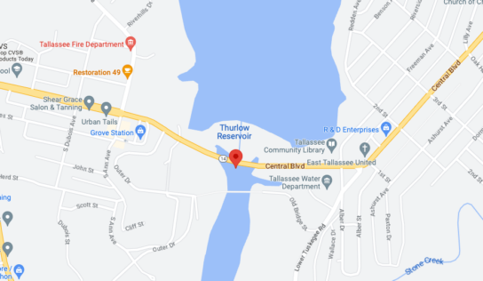 ALDOT’s painting and rehabilitation project on the Fitzpatrick Bridge to begin March 1